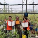 이현숙 농장 이미지