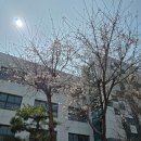 로뎀나무노인복지센터 이미지