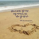 바다가좋아 - 강릉시 해안로621번길 7 | 바다가좋아