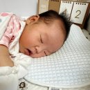 (주)쿨리 | 신생아 두상베개, 태열베개 내돈내산 리뷰 (라비킷, 쿨리)