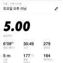낭기뒷고기수영