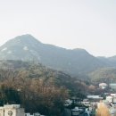 품마을행정사 합동사무소 이미지