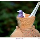 사랑의연못 이미지