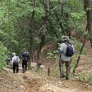 대전둘레산길(3구간) 이미지