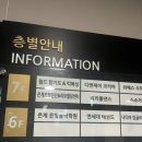 리리폴댄스 이미지