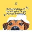 놀아보개 이미지