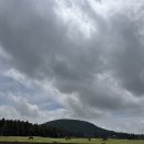 아하비제주 | 제주 성이시돌목장 | 제주 서쪽 여행지 | 미스터밀크 | 실망, 비추천, 솔직후기