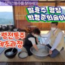 삼수령전통주 이미지