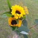 운정블라썸꽃집 이미지