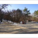 김포 장릉 이미지