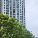 센텀탑부동산공인중개사사무소 네이버블로그