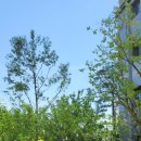 중앙동116 이미지