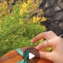 조은피드 이미지