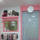 이쁘개 해줄개 이미지