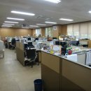 월성중학교 이미지