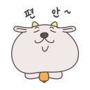 토종흑염소농장 이미지