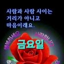 멋진하루 이미지