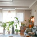 플랜테리어 이미지