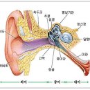 시그니아독일보청기 수원센터 이미지
