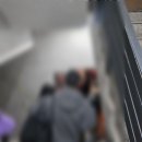 솔로몬2 | 서울 강남파티 솔로몬파티 참여 후기