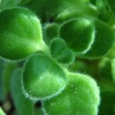 송곡주유소 이미지