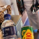 북면116 | 일루글램핑스파 가평 애견 동반 글램핑 감성 넘치는 숙소