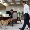 새롬미디어 이미지