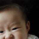 (주)송연