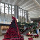 말루길 (중3-12) | 오키나와 다다미방 호텔 | 그랜드 머큐어 오키나와 케이프 잔파 리조트 12개월 아기랑 3박 후기