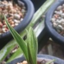 사봉면-8 이미지