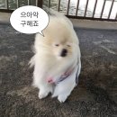 엑시트 맨즈 헤어 이미지