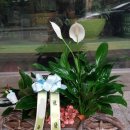 레이디당구장 이미지