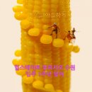 매교역사거리 7번출구 이미지