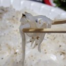 매천수산시장 대구 갑오징어회 포장 후기 (가격/회덮밥 꿀팁)