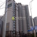 장덕로 이미지