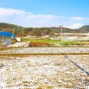 느리실마을 네이버블로그