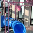 칠월펜션 이미지