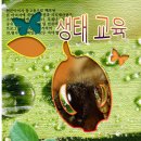 성동글로벌경영고등학교 | [GTQ 포토샵 1급] 5일 독학 합격 후기 | 공부 방법 | 벼락치기 꿀팁 | 유튜브 강의 추천