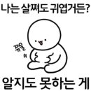 파리바게뜨파동가창점