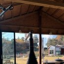 해뜨는봄봄 이미지