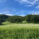 충청북도 청주시 이미지