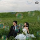 13. 청주 야외 웨딩스냅 촬영 후기📸 | 물든스냅, 청주 웨딩스냅 추천