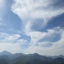 향로산자연휴양림 티스토리