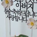이디오랜 이미지