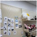 피스오브모먼트