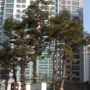 미사하나공인중개사사무소 이미지