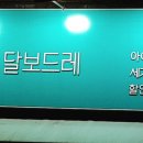 달보드레아이스크림 이미지