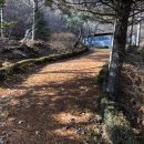 춘천숲펜션 이미지