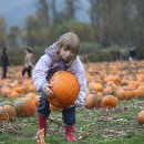 주짓수익스플로러 이미지