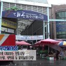 대송농수산물시장 이미지